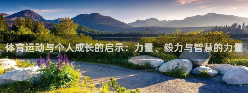体育运动与个人成长的启示：力量、毅力与智慧的力量