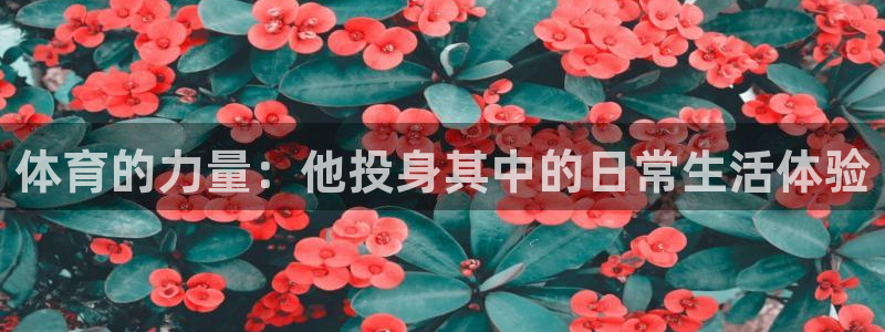体育的力量：他投身其中的日常生活体验