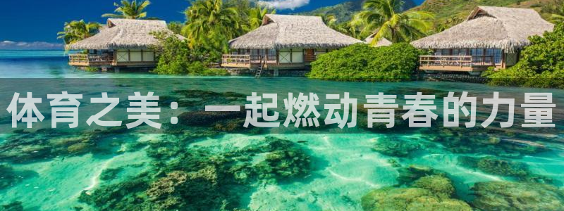 体育之美：一起燃动青春的力量